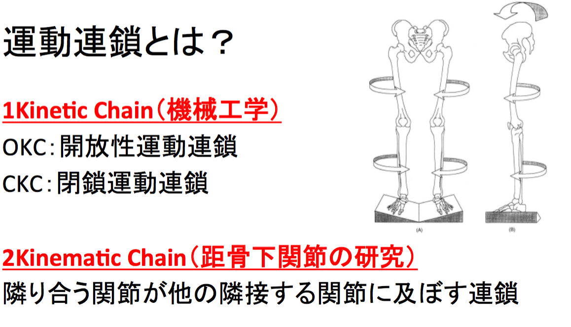 運動連鎖パターンの新しい考え 多くの人が陥る運動連鎖の罠とは Reharock リハロック