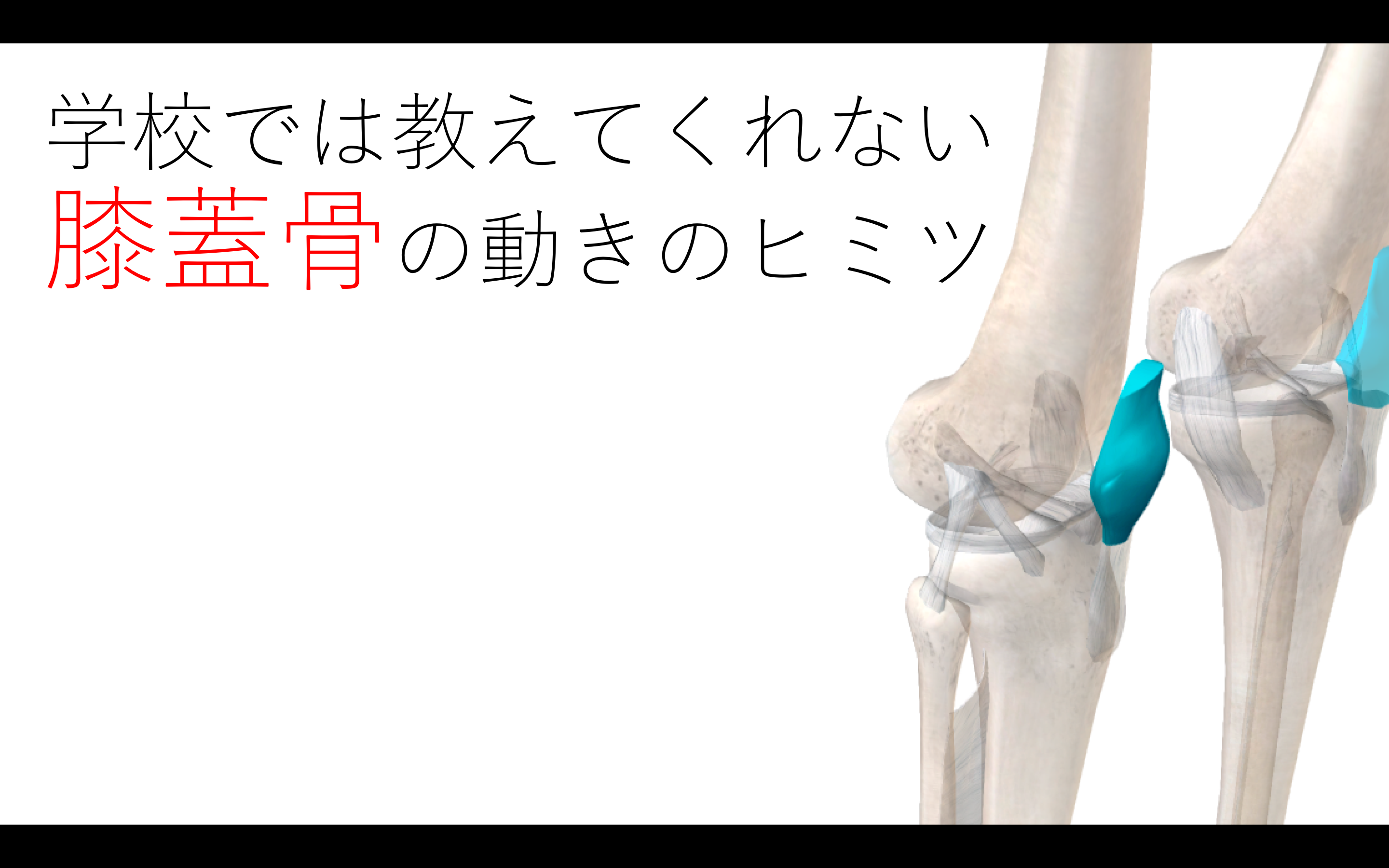 スクリーンショット 2017-06-13 10.04.07