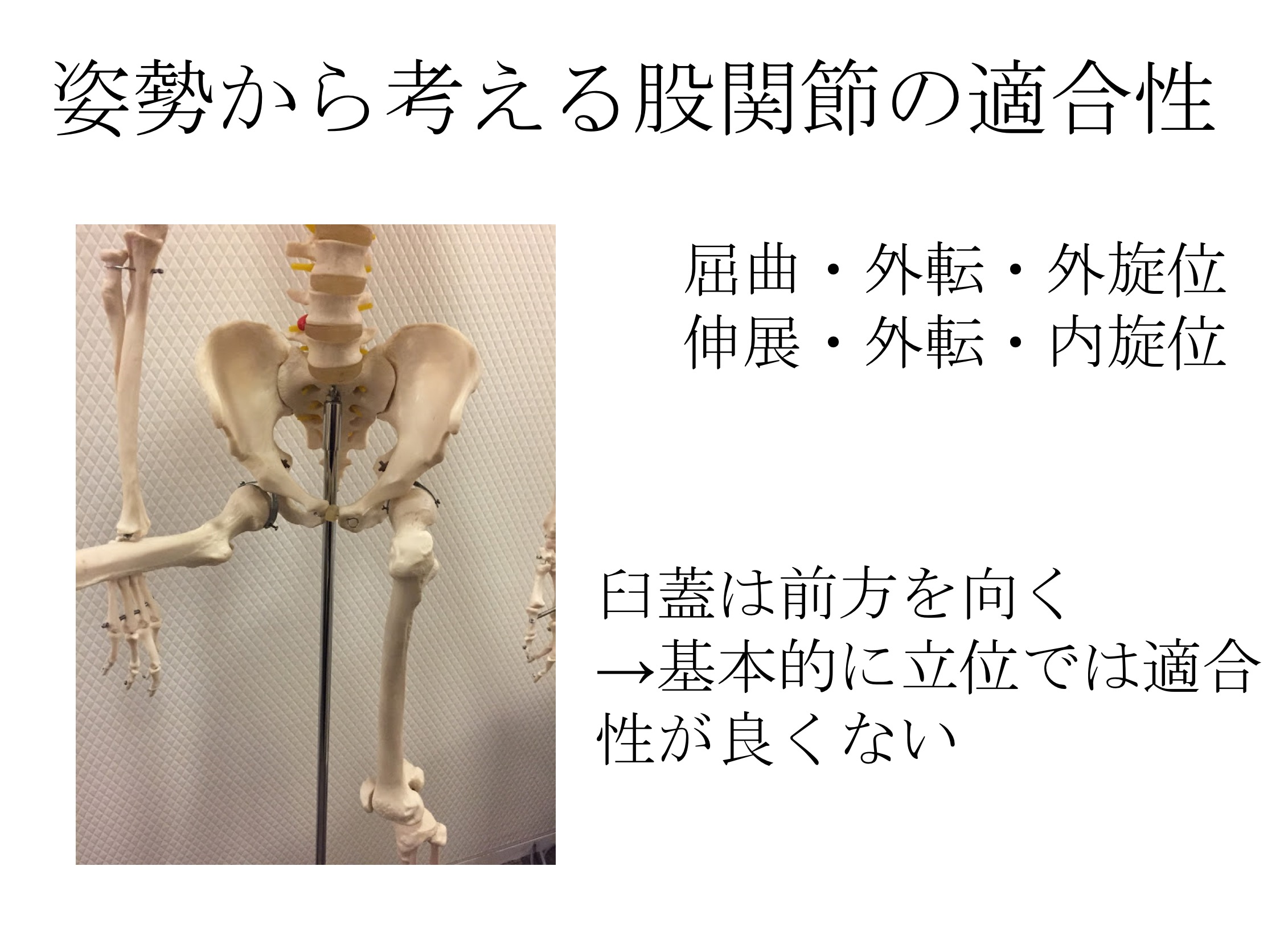 知らなかった 骨盤と腰椎も一緒に評価 股関節の可動域制限はコレだ Reharock リハロック