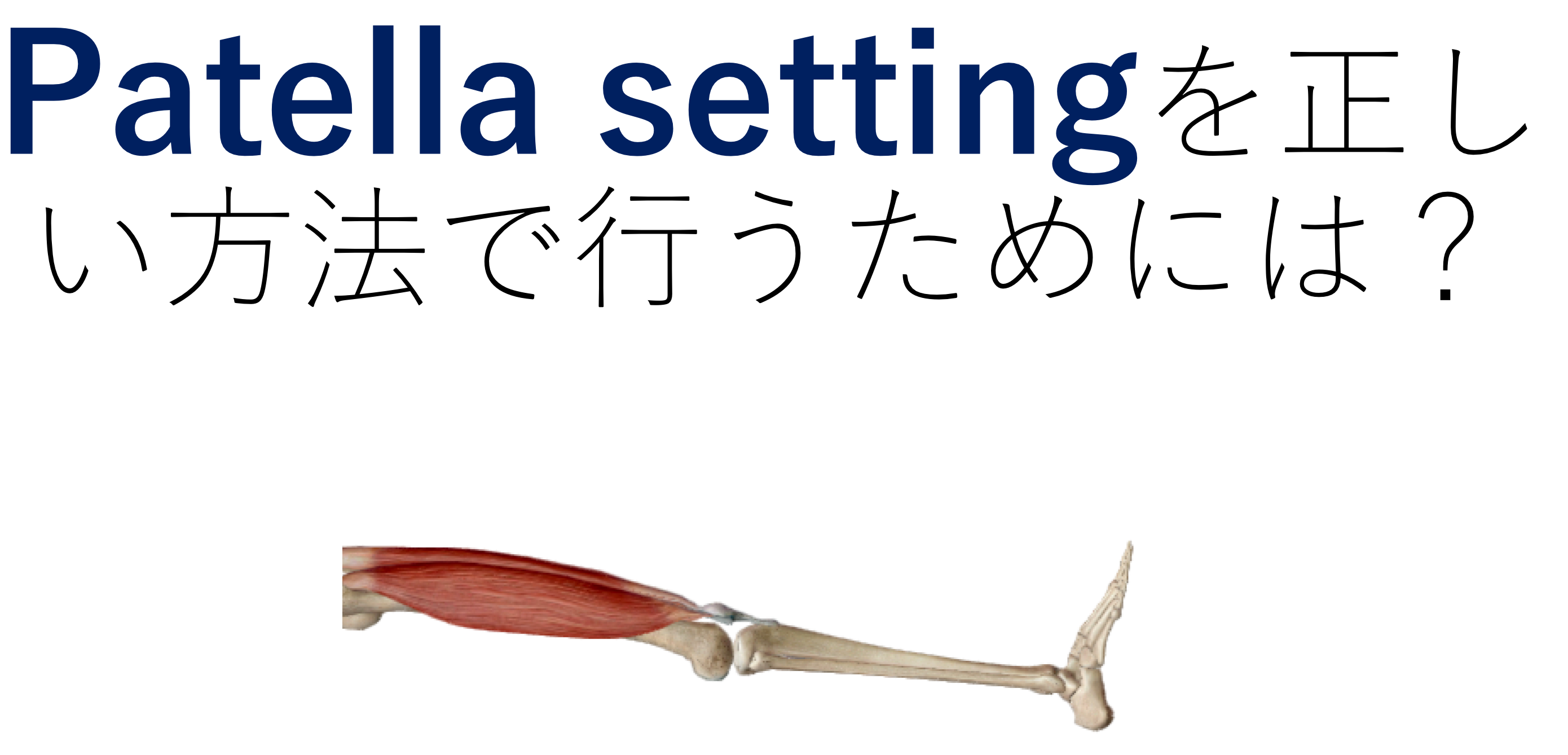 スクリーンショット 2017-06-30 10.06.22
