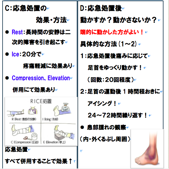 機能解剖から考える足関節捻挫の理学療法評価 治療 リハビリ保存版 Reharock リハロック