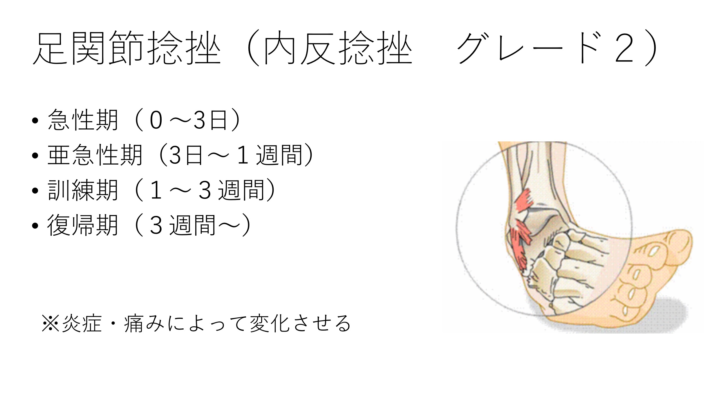 機能解剖から考える足関節捻挫の理学療法評価 治療 リハビリ保存版 Reharock リハロック