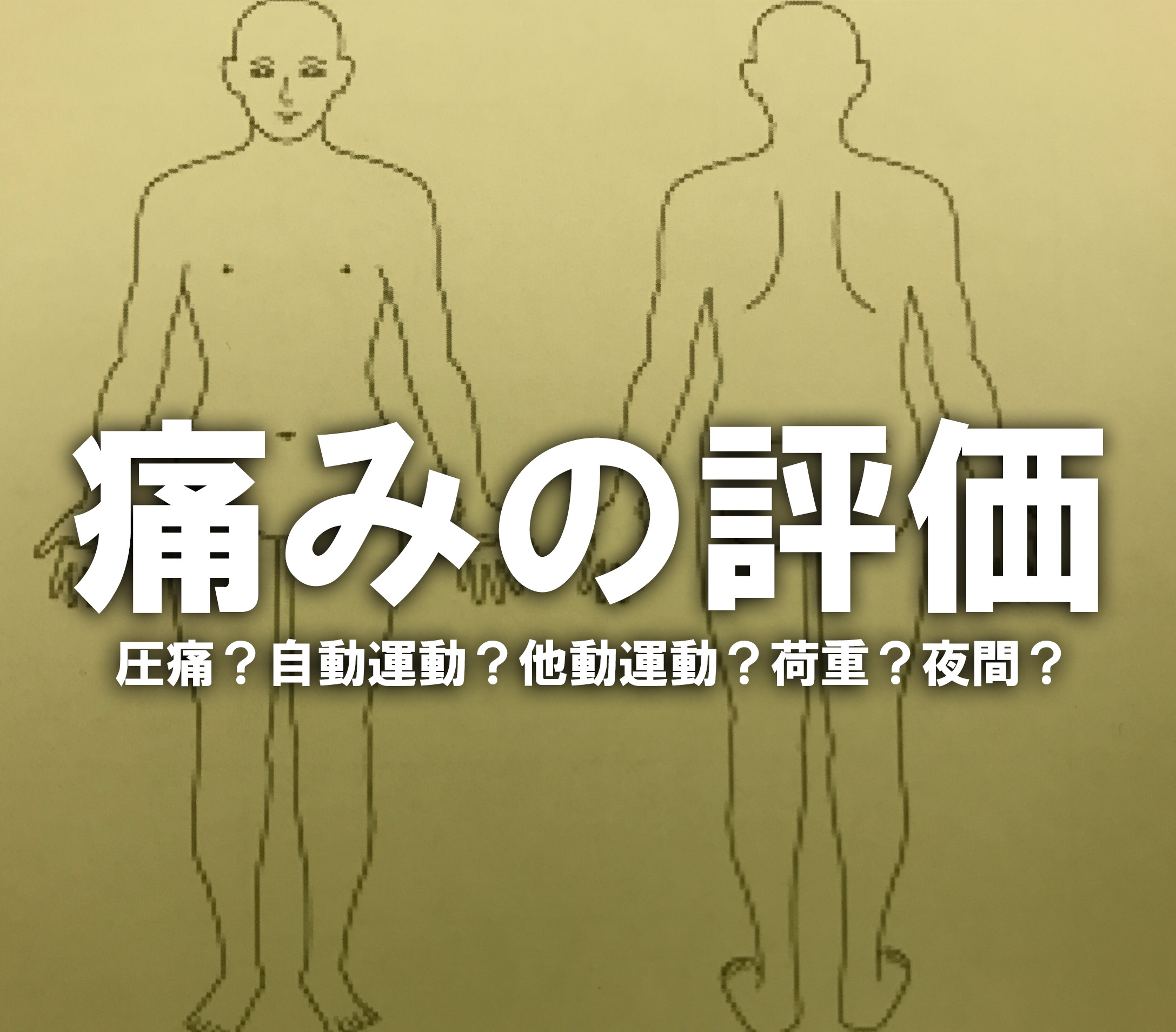 Vasやnrs以外の痛みの理学療法評価 痛みの評価手順と臨床的考え方について Reharock リハロック