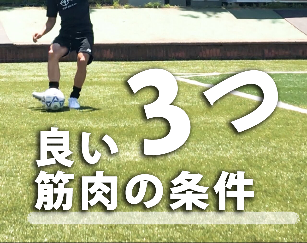 ３つの良い筋肉の条件！！筋肉は太い？硬い？柔らかいほうがいい？ってホント？ | RehaRock〜リハロック〜